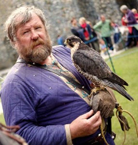 Falconry-at-Beaumaris-Medieval-Festival